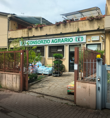 Sede Greve in Chianti